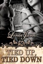 Tied Up, Tied Down (Rough Riders #4)