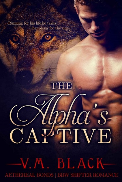 The Alpha's Captive Book 1 - Taken